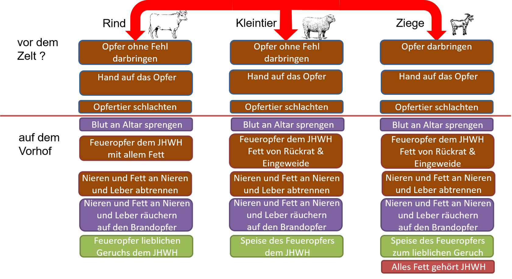 Bild4